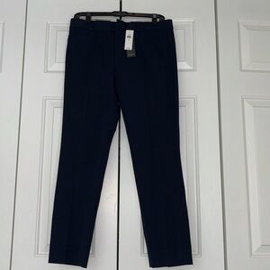 NWT banana republic Sloan pants